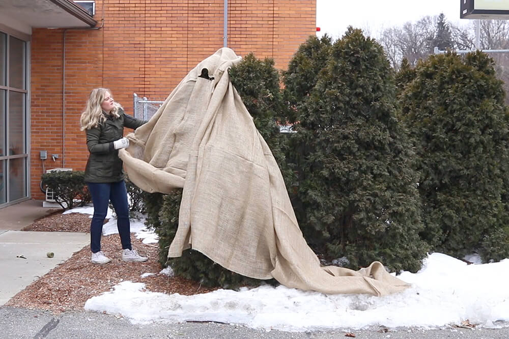 What's with the burlap wrap? : r/arborists