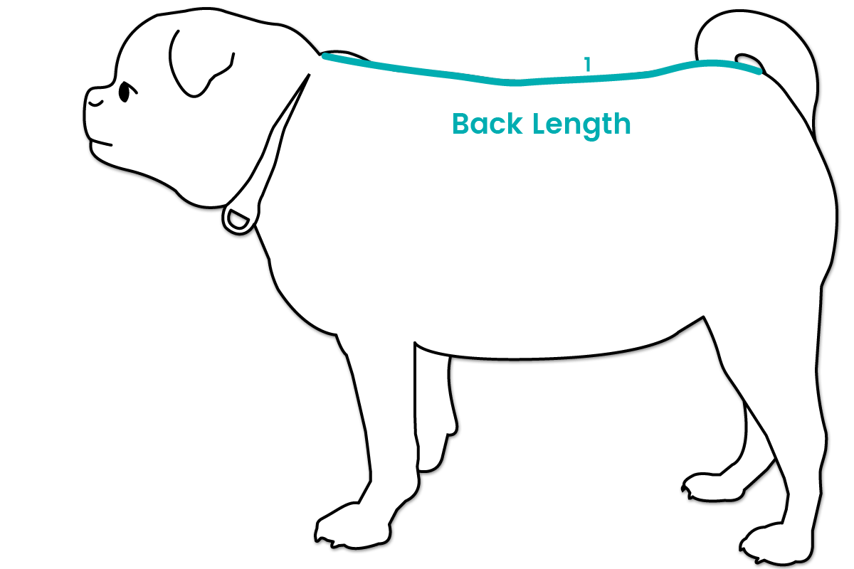 Back Length